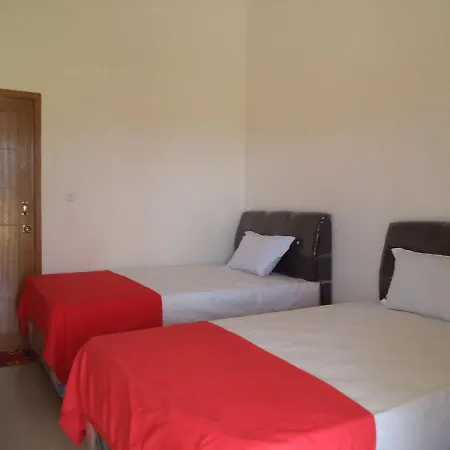 Rosalina Homestay Rantepao Exterior photo